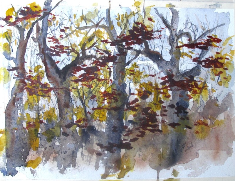 Sketch of Some Trees, View from my Window, #1281 Willard Art