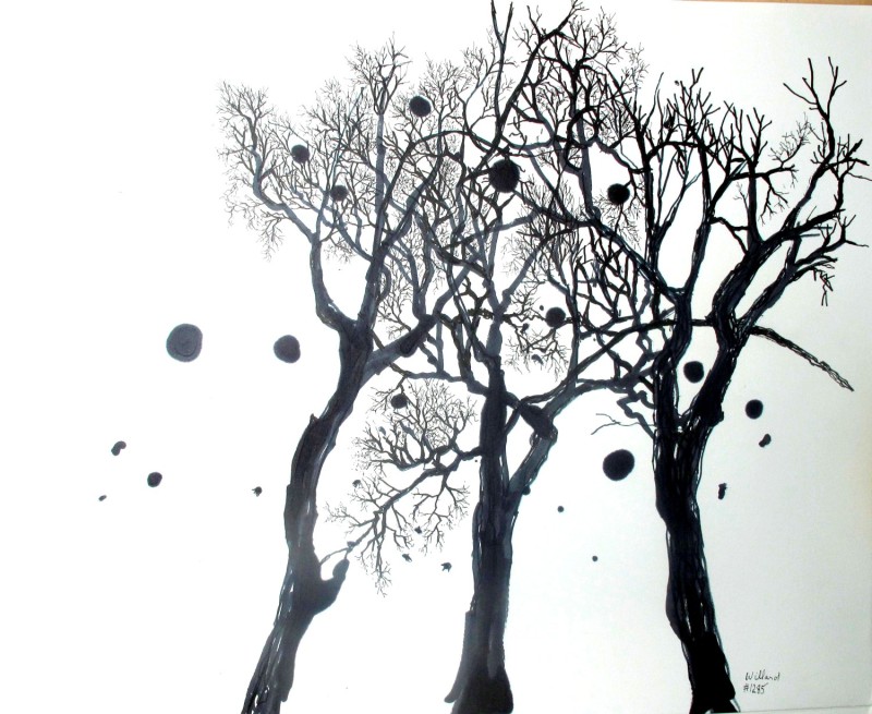 Winter Trees, Ink Drawing, Willard Art