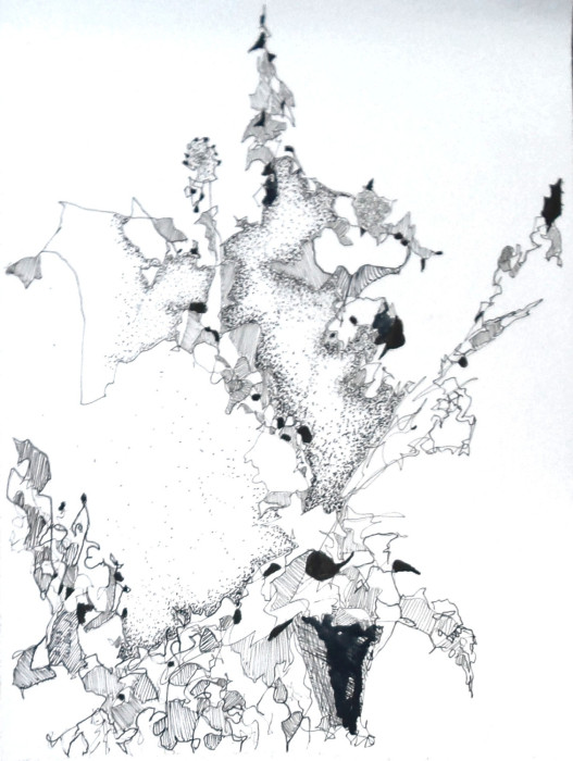 #1403, Art by Willard